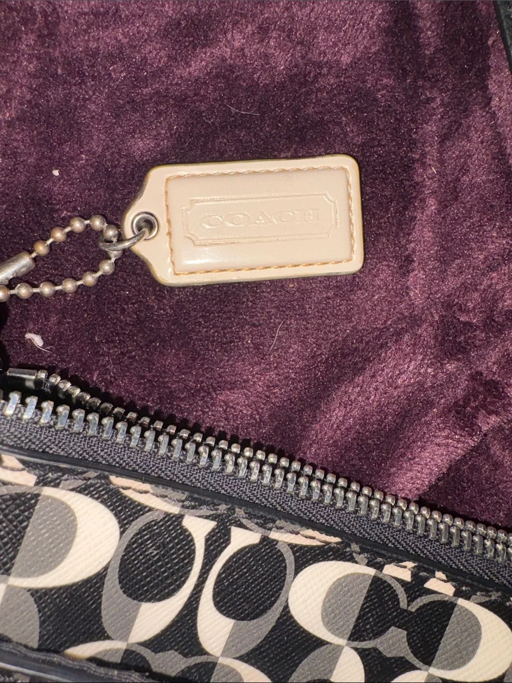 NWOT RARE Coach PEYTON DREAM Signature Black and Cream Crossbody Bag